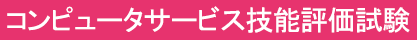 コンピュータサービス技能評価試験